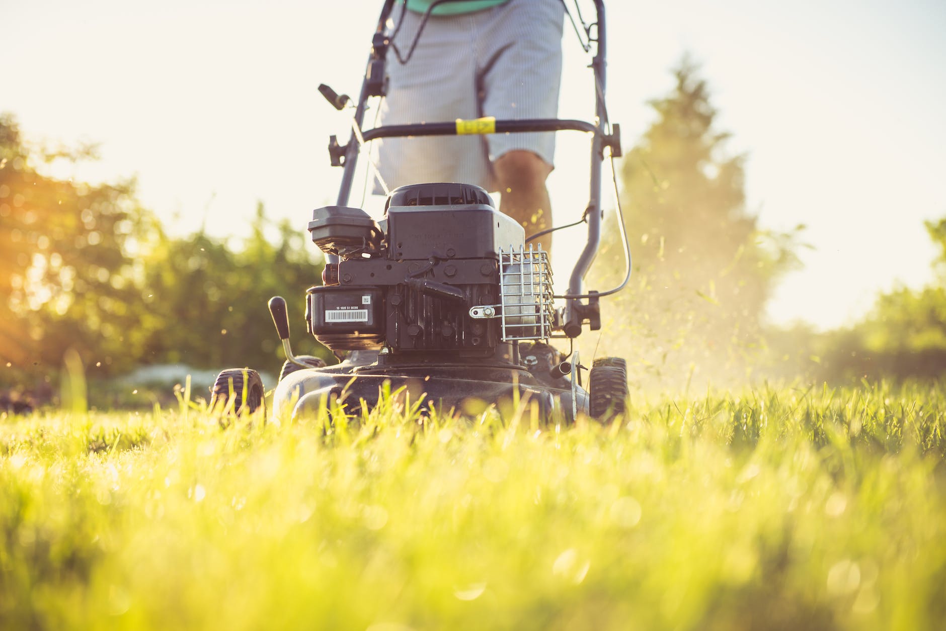 a person cutting grass in the summer time with a petrol lawnmower